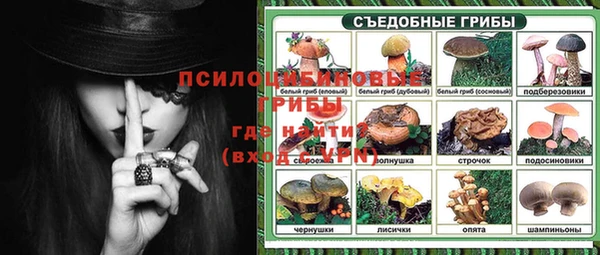 Альфа ПВП Нея