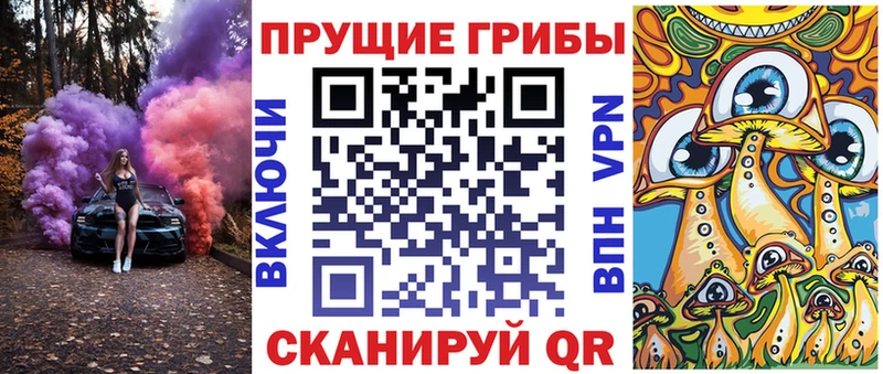 Купить закладки  Магнитогорск  Галлюциногенные грибы Psilocybe 